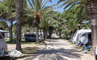Aantal Nederlandse en Belgische campinggasten in Spanje